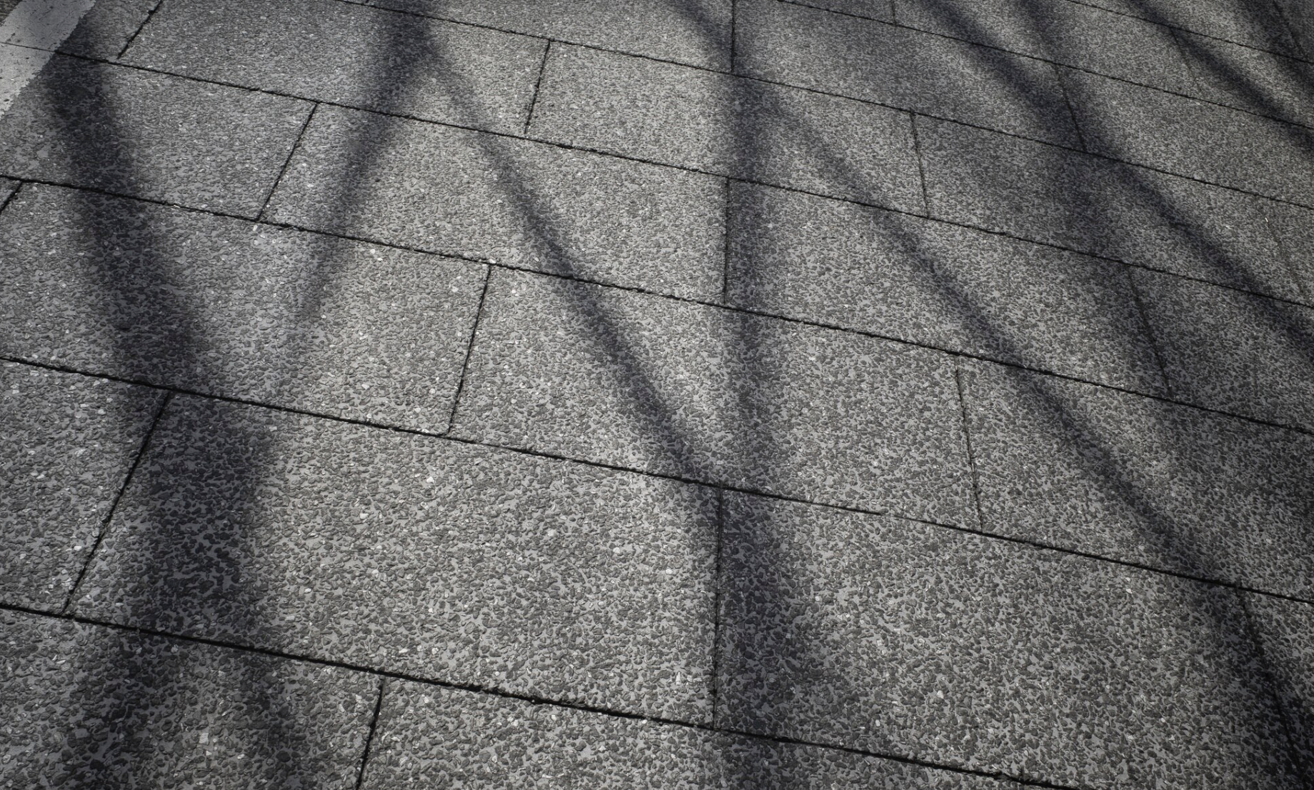 ce este sindrila bituminoasa