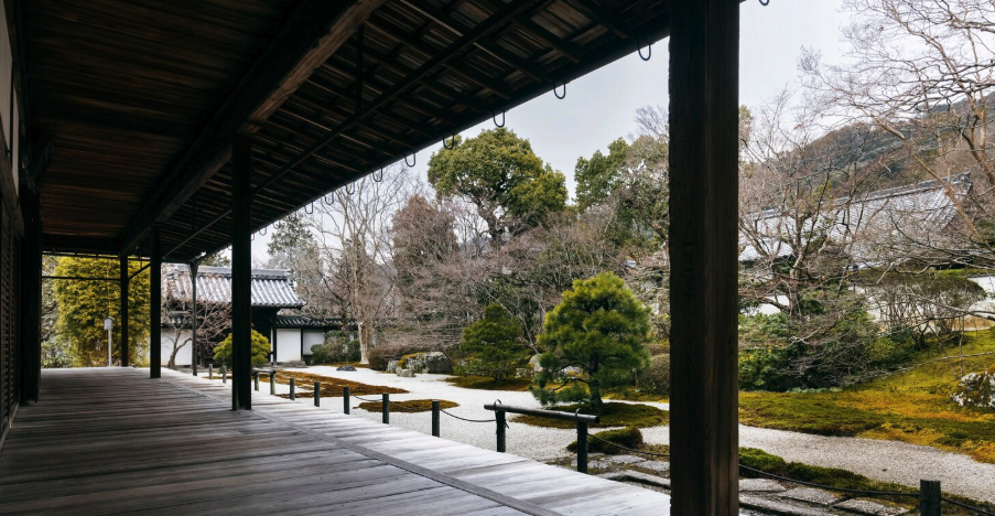 material acoperis terasa