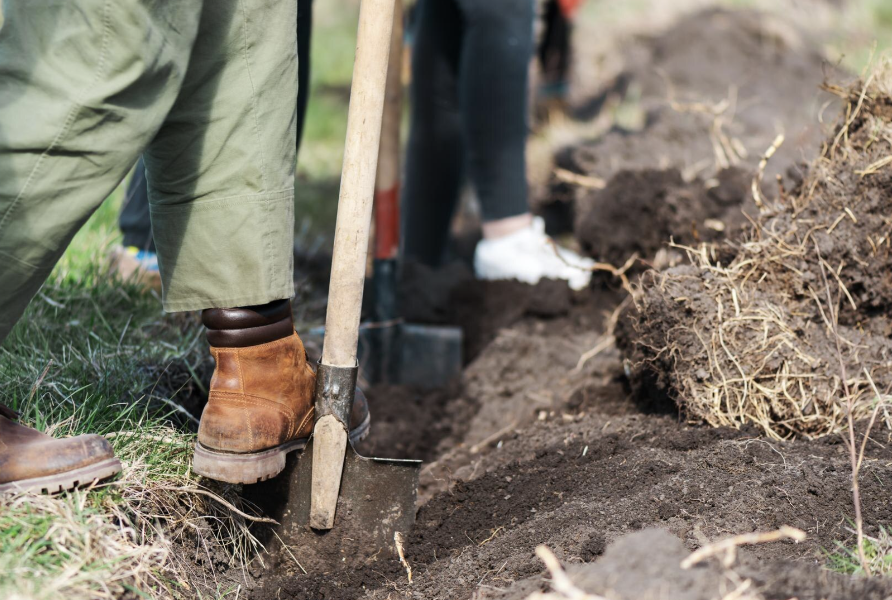 pregatire teren turnare placa pamant